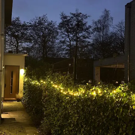 Luxe 