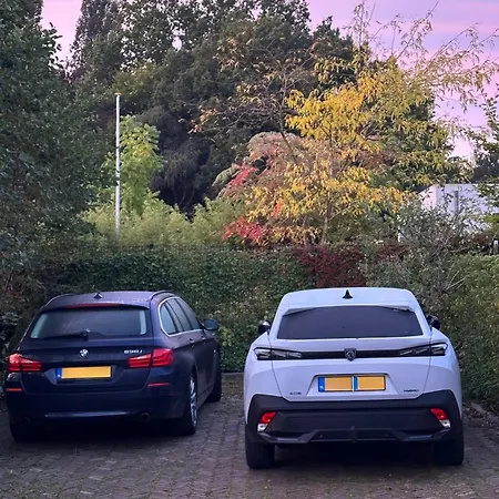 Luxe 